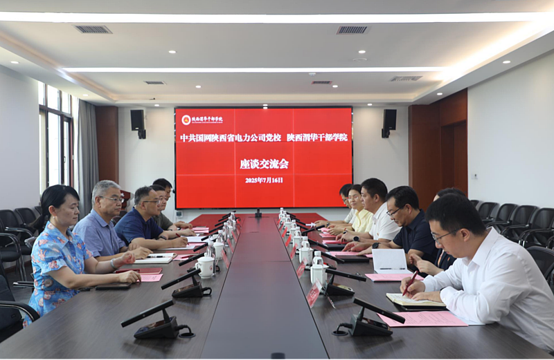 中共国网陕西省电力公司党校来我院考察交流