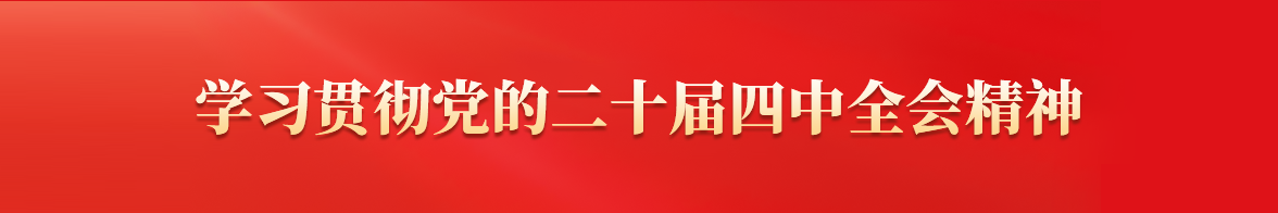 党的二十届四中全会精神